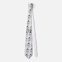 Mary Pickford Little Annie Rooney 1925 ties