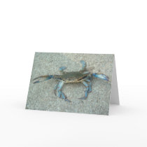 Maryland Blue Crab Greeting Card