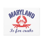 Maryland  Crabs Card Postcard