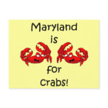 Maryland is for Crabs Postcard