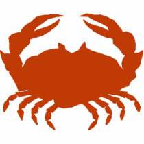 Maryland Steamed Crab photo sculptures by figstreetstudio Maryland Steamed Crab photo sculptures