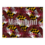 Maryland Waving Flag Postcard