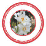 Mary's Lily, Jesse Tree Round Stickers