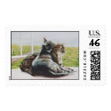 "Marzipan & Cloud" postage by paintonmypaws "Marzipan & Cloud" postage