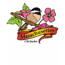 masachusettes t-shirts
