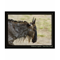 Masai Mara crossing, Kenya - Gnu or Wildebeest pos t-shirts by Rowood Masai Mara crossing, Kenya - Gnu or Wildebeest pos t-shirts