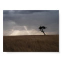 Masai Mara posters