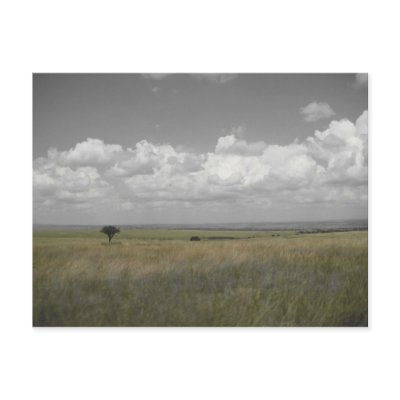 Masai Sky Post Card by daughertybeth