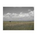 Masai Sky postcards