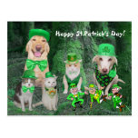 Mascotas y Leprechauns divertidos Tarjeta Postal