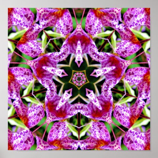 Masdevallia orchid mandala - Print | Zazzle