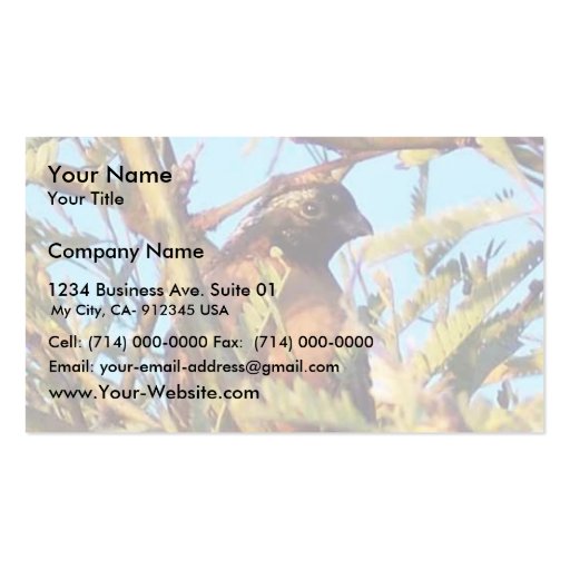 Masked Bob White Quail Business Card Template (front side)