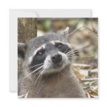 Masked Raccoon Invitations