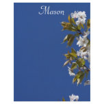 Mason Blossom Letterhead