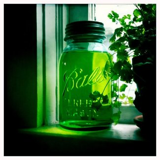 Mason Jar and Cilantro magnet