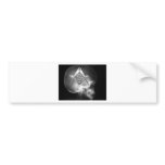 Masonic X-Ray Alien Skull Bumper Stickers