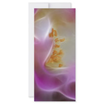Masquerade pink rose and meaning rack card