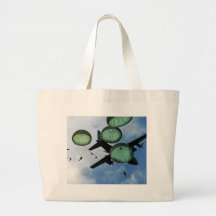 Mass Jump Mission, Parachutes, U.S. Army Bag