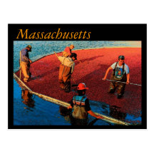 Massachusetts Postcard
