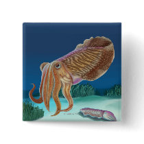 MassachusettsCuttlefish Scene Pins