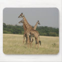 Massai Giraffes mousepads by catdogdz Massai Giraffes mousepads