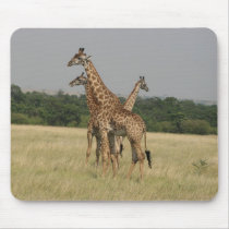 Massai Giraffes mousepads by catdogdz Massai Giraffes mousepads