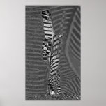 Massaï Zebra Print