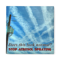 grid chemtrail sky magnet