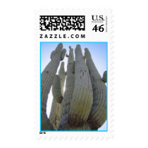 massive saguaro postage