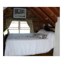 Master's Bedroom posters by Hellfisch Master's Bedroom posters
