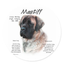 Mastiff (apricot/fluffy) History Design stickers