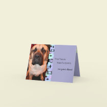 Mastiff Birthday Greeting Card