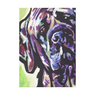 Mastiff Bright Colorful Pop Dog Art Stretched Canvas Prints