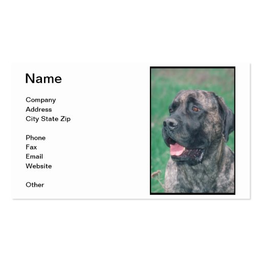 Mastiff Business Card (front side)