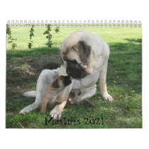 Mastiff Calendar
