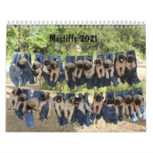 Mastiff calendar