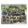 Mastiff calendar