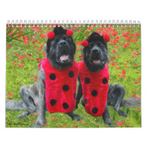 Mastiff Dress Up Calendar by MastiffStuff Mastiff Dress Up Calendar