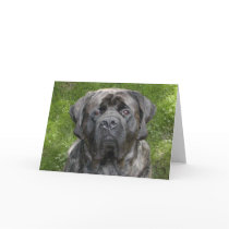 Mastiff Face Note Card by flowingcreek Mastiff Face Note Card