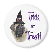 Mastiff (fawn) Trick magnets