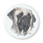 Mastiff Magnet