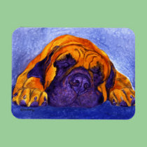 Mastiff Magnet - "Brutus" magnets