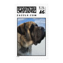 Mastiff Profile Postage stamp