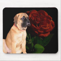 Mastiff puppy and rose mousepad by ritmoboxer Mastiff puppy and rose mousepad