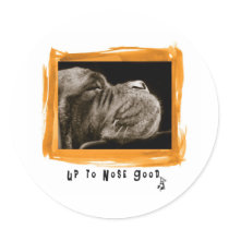 Mastiff stickers by animalgarden Mastiff stickers