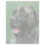 Mastiff, Yarraville's Crown Jewel Letterhead Design