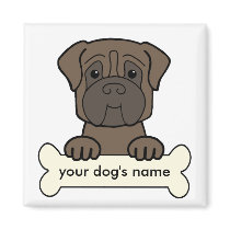 MastiffC3 magnets
