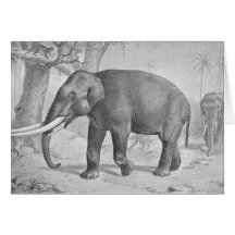 Mastodon Antique Print Greeting Cards