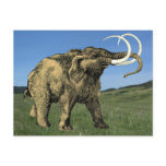 Mastodon Postcards