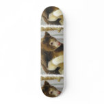 Matchies Tree Kangaroo  Skateboard